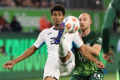 VfL Wolfsburg - TSG Hoffenheim_02