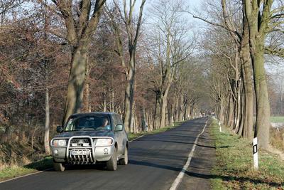 Unterwegs mit dem Landtierarzt