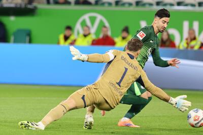 VfL Wolfsburg - TSG Hoffenheim_03