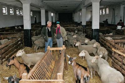 Unterwegs mit dem Landtierarzt